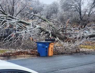 EvilMopacATX's tweet photo. Having a massive tree down in your front yard but still making sure to put your recycling out is the most iconic 2023 Austin moment possible

(h/t @tonoceba) https://t.co/Zl3WN1zARJ
