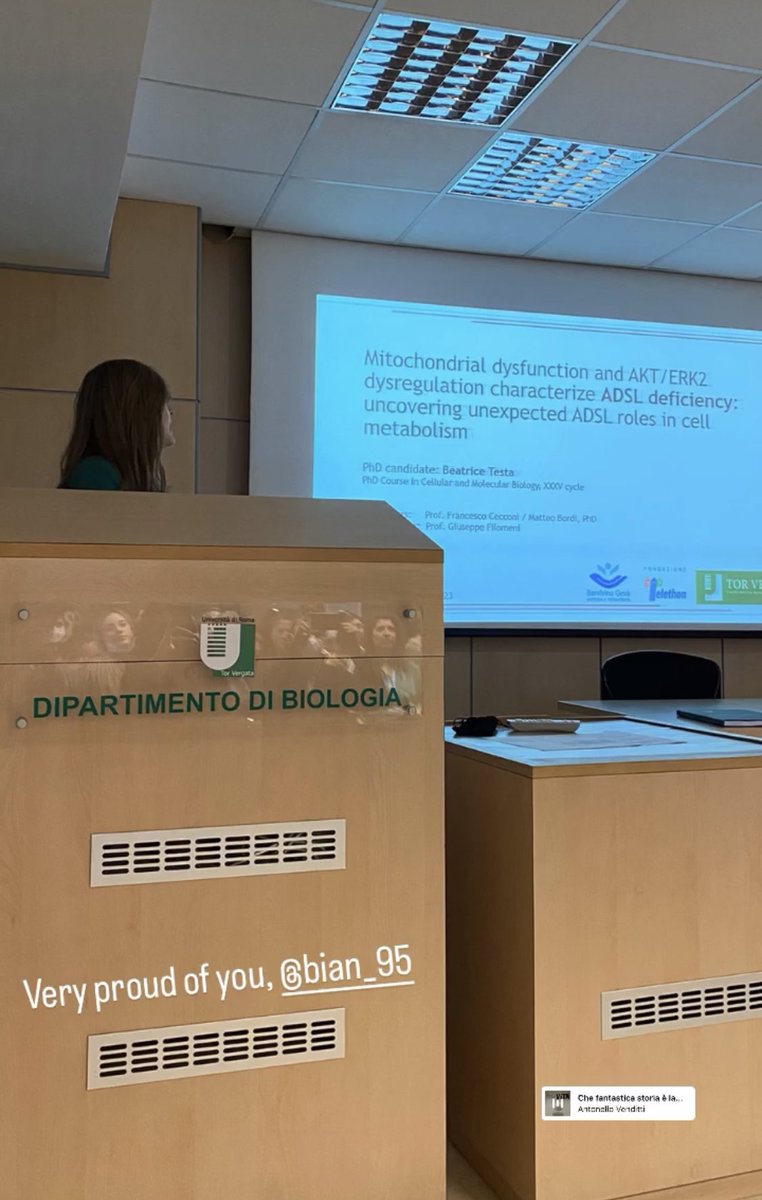 Amazing job, Beatrice Testa!!! And congrats for your PhD!!!