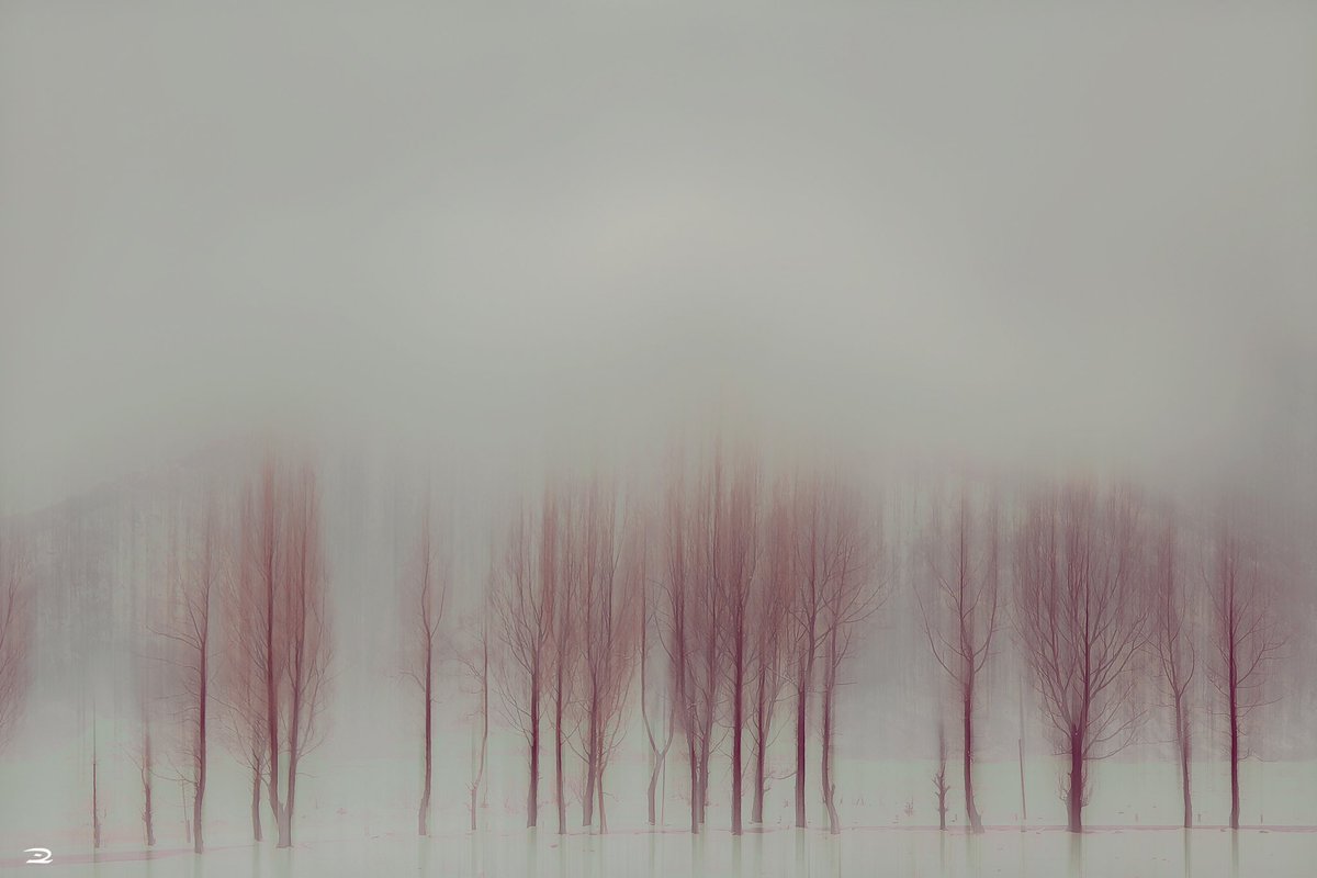 در انتهای دنیا، برف که می‌بارد
سکوت است
حتی اگر زمین زیر پای مردمانی مهربان، بلرزد
درد، خون سرخی خواهد شد در ریشه‌ها‌
 و درختان آواز می‌خوانند برای آشیانه‌ی سرزمینی نو
#جواد_جلالی #photography #photo #naturelover #NFT #PhotographyIsArt #PHOTOS #nftcollector #javadjalali