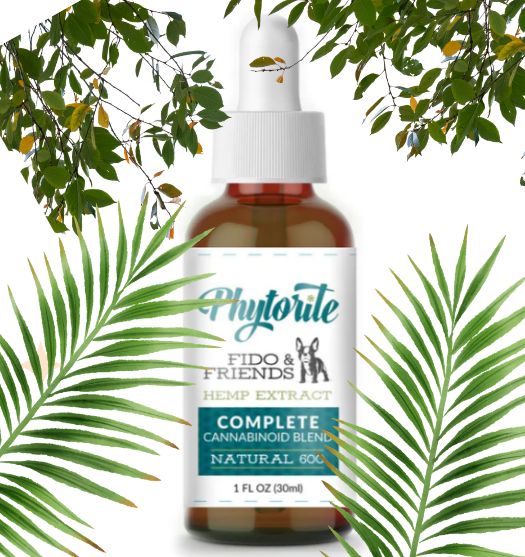 Fido and Friends 600 - Full Spectrum Hemp Oil for Pets
Are your furry family members suffering from pain related ailments? Do they have a hard time walking or making it up the stairs? Full Spectrum Hemp Oil for Pets with 600mg of CBD.
#HempOil

Shop now:phytorite.com/collections/be…
