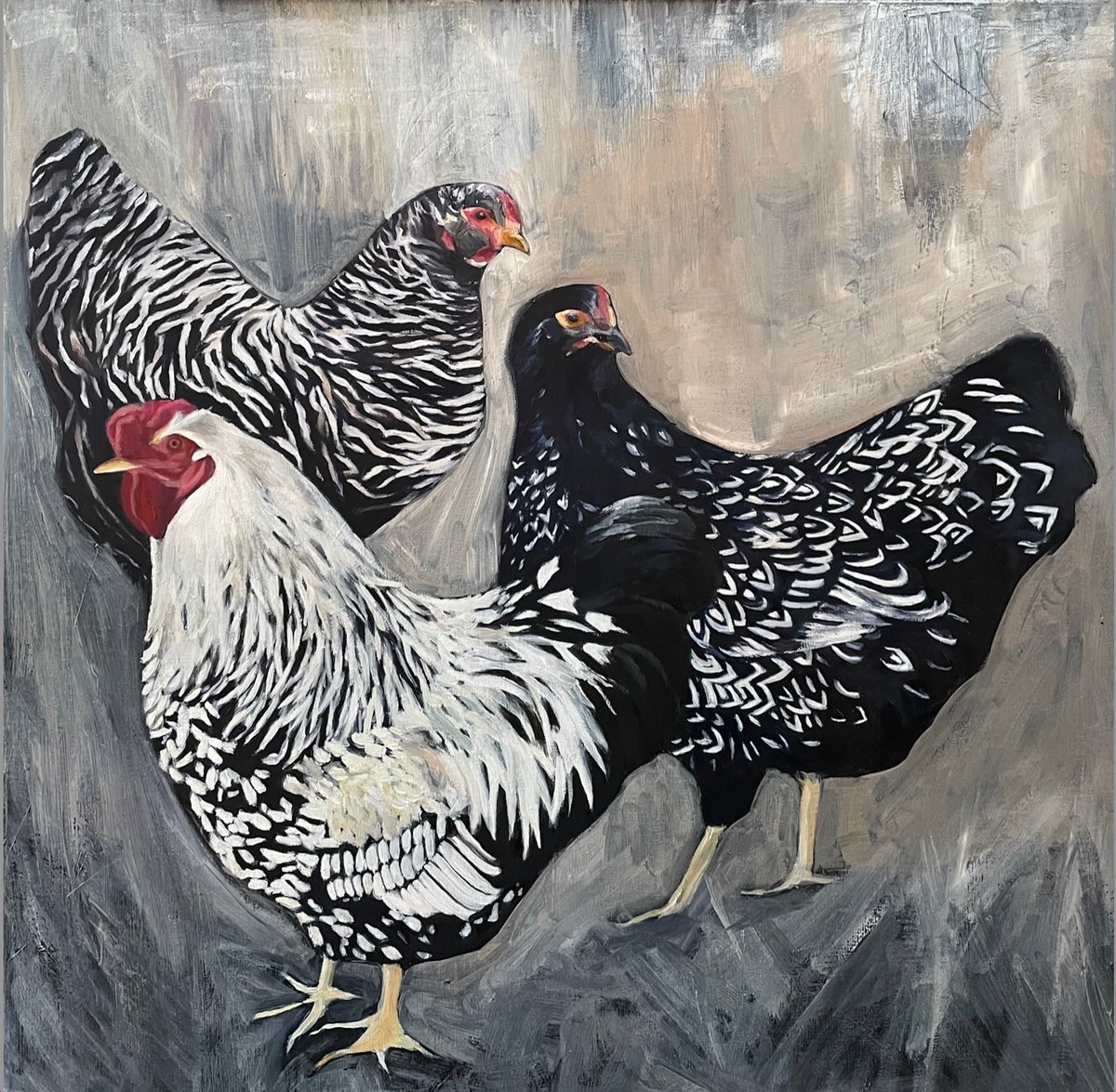 ClareEDean's tweet photo. Like #chickens ? Like paintings? See my new #chicken oil painting on Etsy. 20x 20 inch on stretched canvas. Great for modern #farmhouse #decor . Visit my shop or DM me for deets. https://t.co/DPrTWHcE4K https://t.co/k3khVKea1g