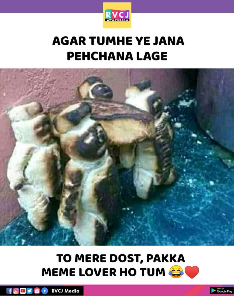 RVCJ Media tweet media