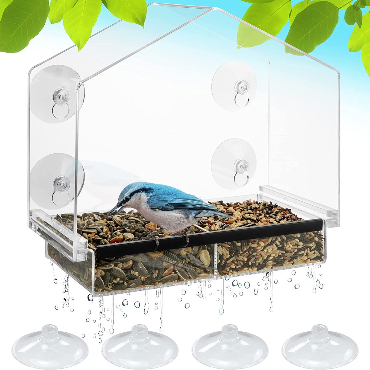 Evan Heling tweet media