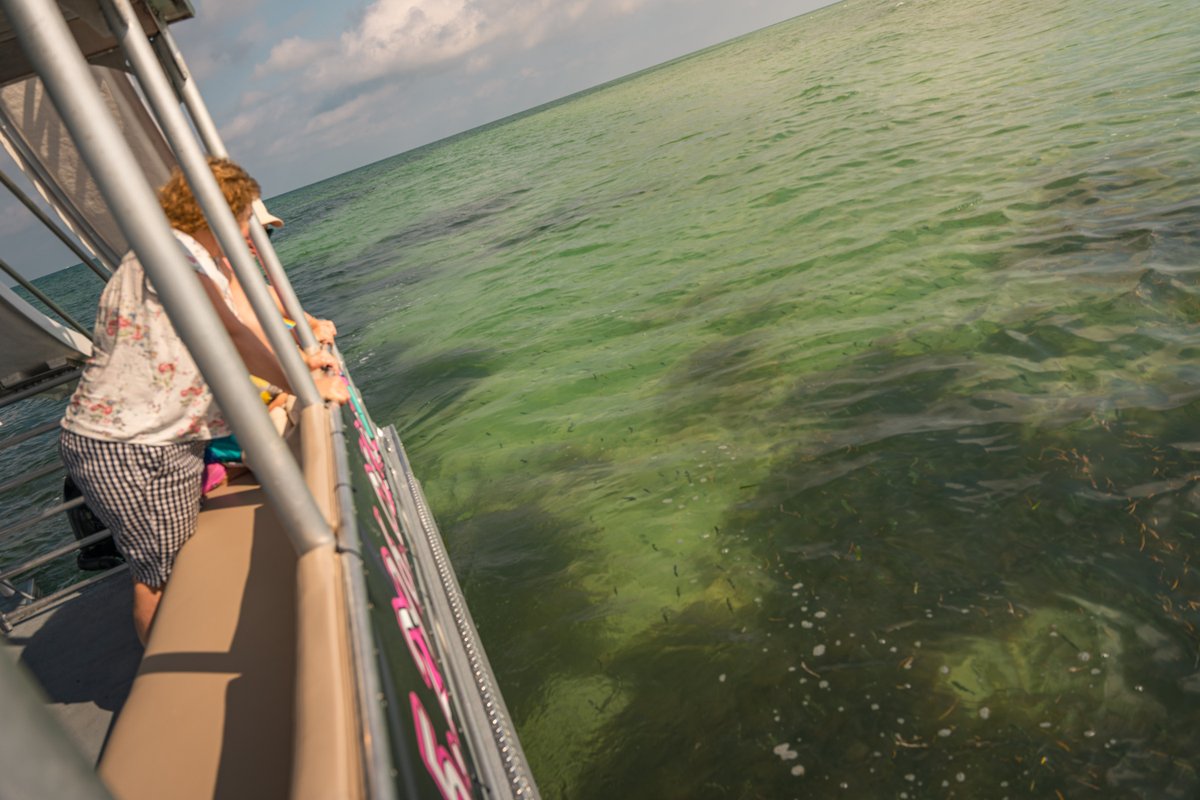 BeachWeekend_KW's tweet image. The ocean is calling and I must answer. 🌊 📞 💙 #oceancalling #beachweekend #keywest #pontoon