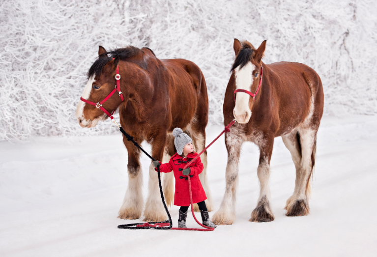 And finally for these last two, <a href="/klau_duran/">Klau Duran</a> 🇷🇺 and <a href="/CrellinKrista/">Krista Crellin</a> 🇨🇦award winning photographer, I wish to see more of their work on tez! Krista minted only 1 piece which I own; I hope its isn't the last! I know I am missing a whole bunch of others. I will add to this thread later