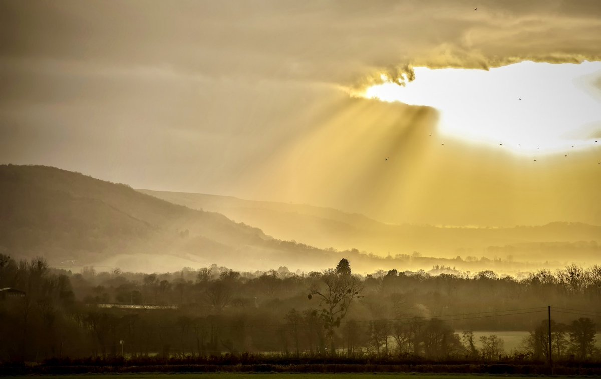 Piotr Biurkowski Photography tweet media