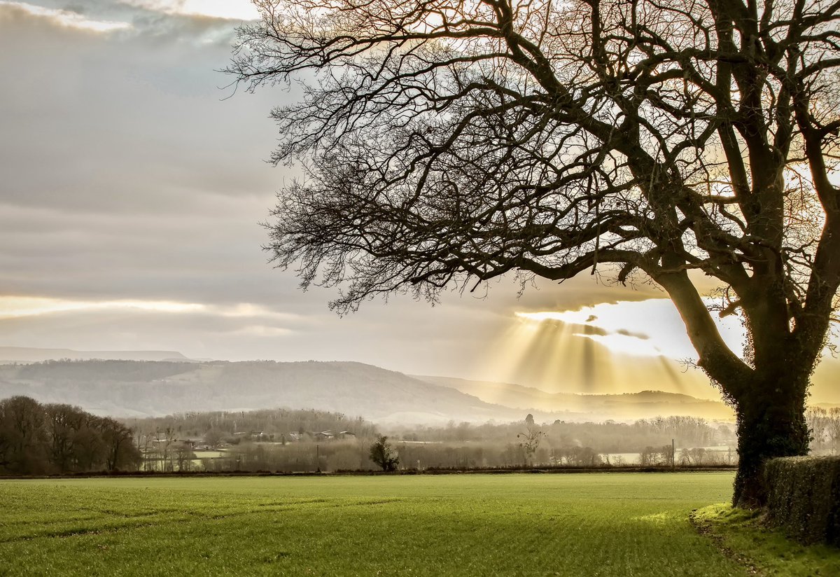 Piotr Biurkowski Photography tweet media