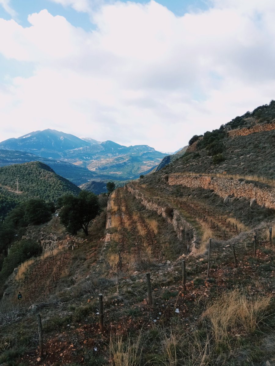 Per més filosofia, per més territori, per més recuperació, per més valor i per més gent autèntica. Volem més de <a href="/baumadeveses/">baumadelesdeveses</a>.
Avui a <a href="/LaConca51/">La Conca 5.1</a> - laconca51.cat/bauma-de-les-d…