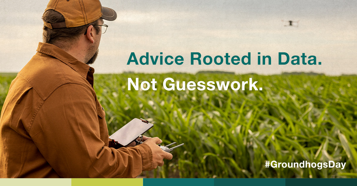 Groundhog or no groundhog, your fields shouldn’t be left to guesswork or “maybe.” We’ll stick to the data-driven insights from our Channel Seedsmen. 👏 #GroundhogDay