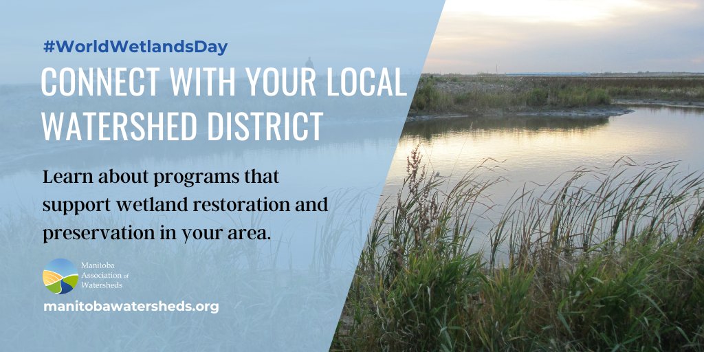 Your local watershed district has programs that support wetland health, provide economic benefits to rural communities &amp; make landscapes more resilient to climate events. Connect with your local district this #WorldWetlandsDay Find your local district: bit.ly/3YfDYe8