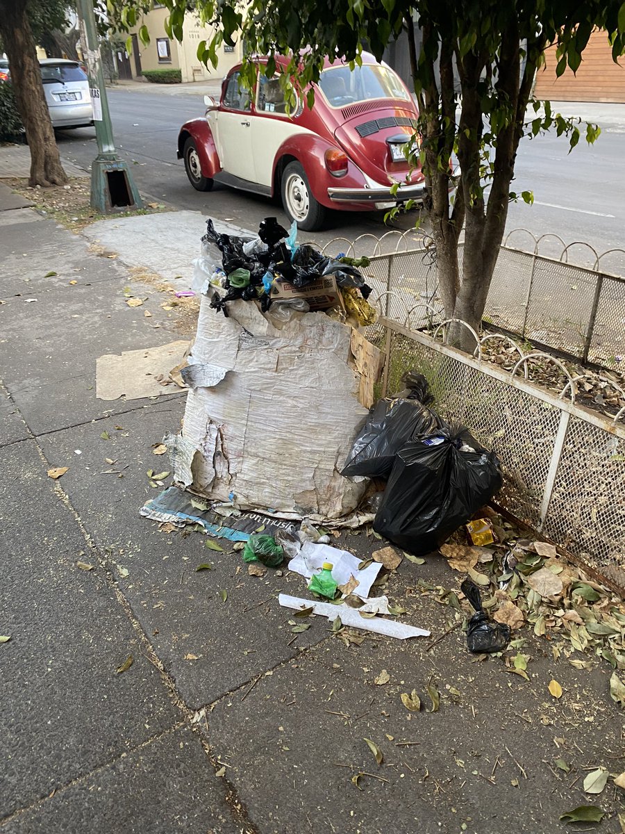 MtzMane's tweet photo. @BJAlcaldia mira como luce la banqueta de amores casi esquina con eje 6. Diario camino por ahí y el olor cada vez está peor. https://t.co/JEZ2293Mah