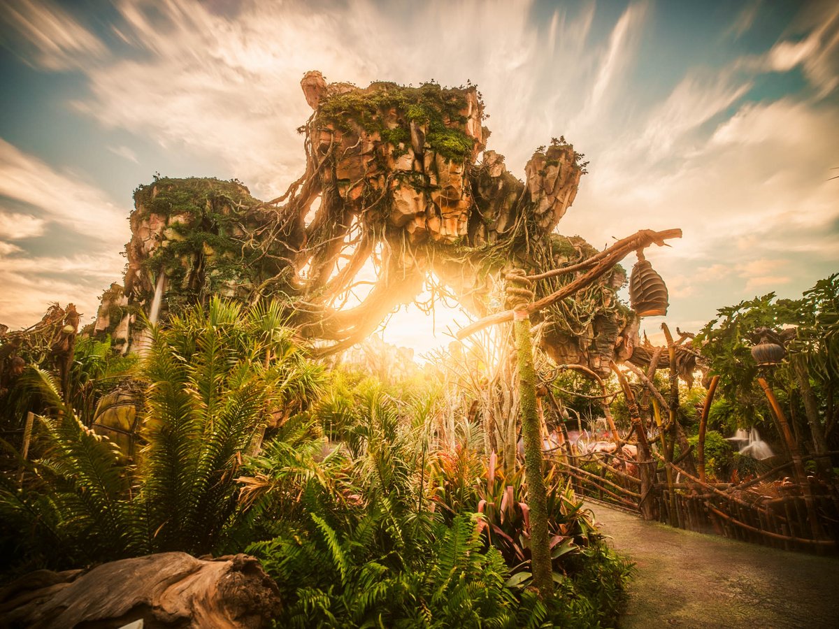 KrisfromBelgium's tweet photo. The wondrous world of Pandora. https://t.co/UwIly36kKC