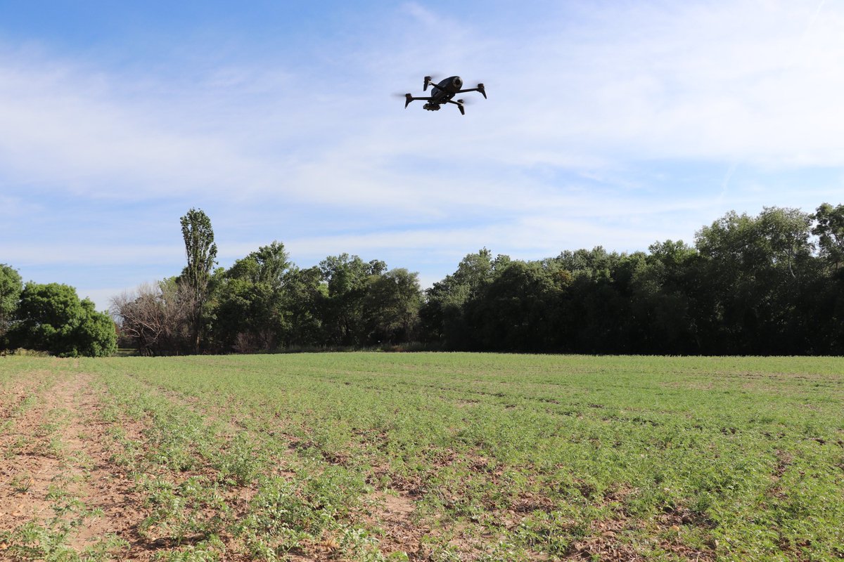 DamesOfDrones (@damesofdrones) on Twitter photo .<a href="/loparbo/">Lorena Parra</a> is a Postdoc researcher at <a href="/UPV/">Universitat Politècnica de València</a> using #drones for precision agriculture. She uses images for pest detection, identifying crops, phenotyping, & water requirements in the framework of #AgriTech research <a href="/gotecnogar/">GO TecnoGAR</a>, <a href="/0Biocistus/">BIOCISTUS 4.0</a> and @agriculture6_0 #WomeninDronesWednesday .<a href="/loparbo/">Lorena Parra</a> is a Postdoc researcher at <a href="/UPV/">Universitat Politècnica de València</a> using #drones for precision agriculture. She uses images for pest detection, identifying crops, phenotyping, & water requirements in the framework of #AgriTech research <a href="/gotecnogar/">GO TecnoGAR</a>, <a href="/0Biocistus/">BIOCISTUS 4.0</a> and @agriculture6_0 #WomeninDronesWednesday