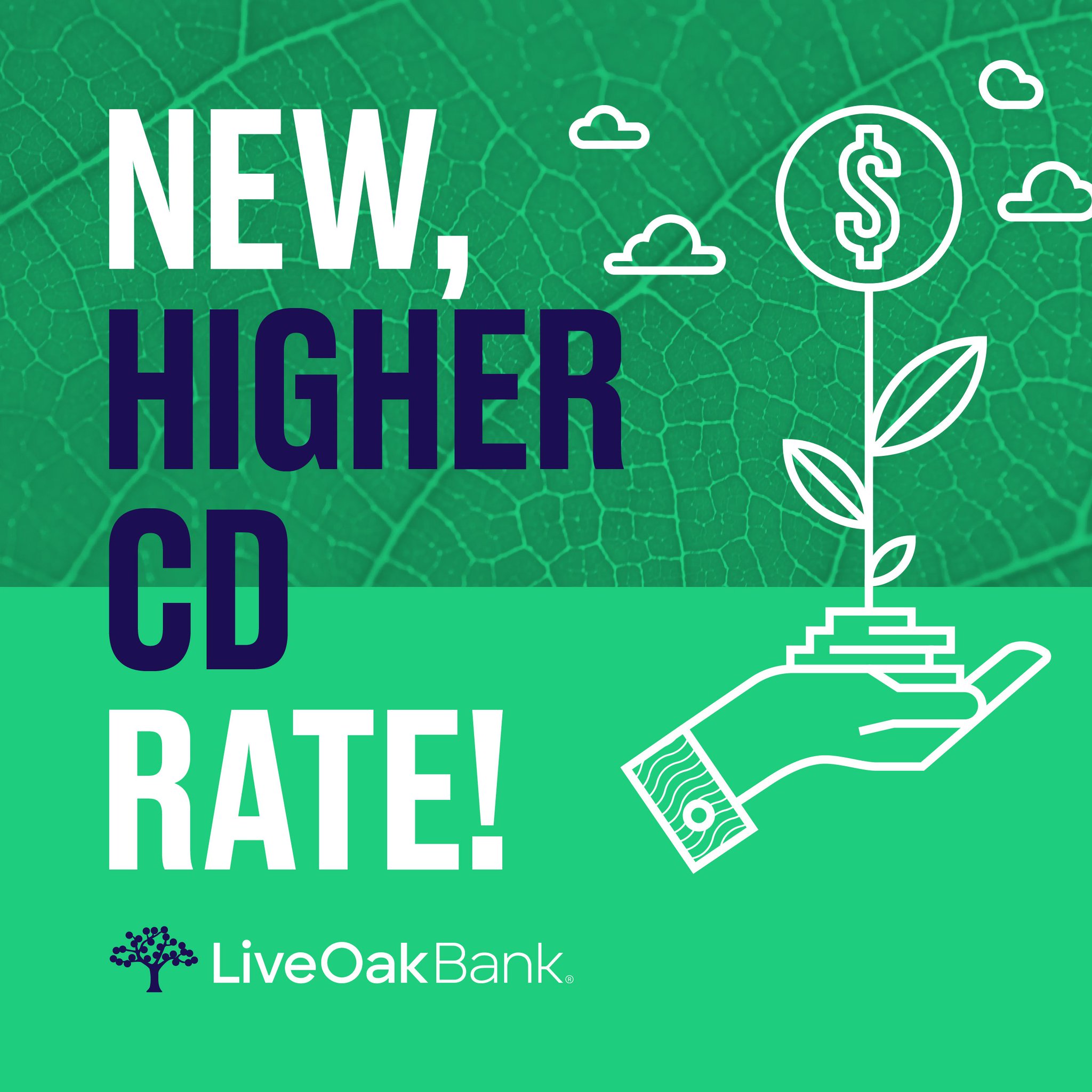 Live oak bank on twitter live oak is offering one of the highest cd