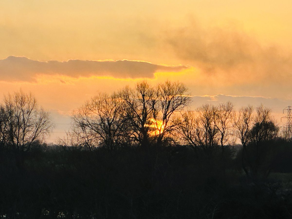 CHARRONPUGSLEYH's tweet photo. #nenewashes @Natures_Voice bird watching on a beautiful evening tonight. https://t.co/MGPPe0BYku