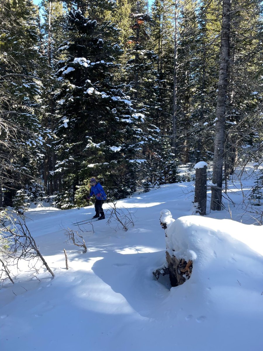 In the Eldora Nordic Women's Program, we climb steep trails to fly back down them, we ski through peaceful forests while torching calories, and we laugh our heads off in between eating delicious breakfasts and lunches. Learn more here: store.eldora.com/s/programs-22/…
