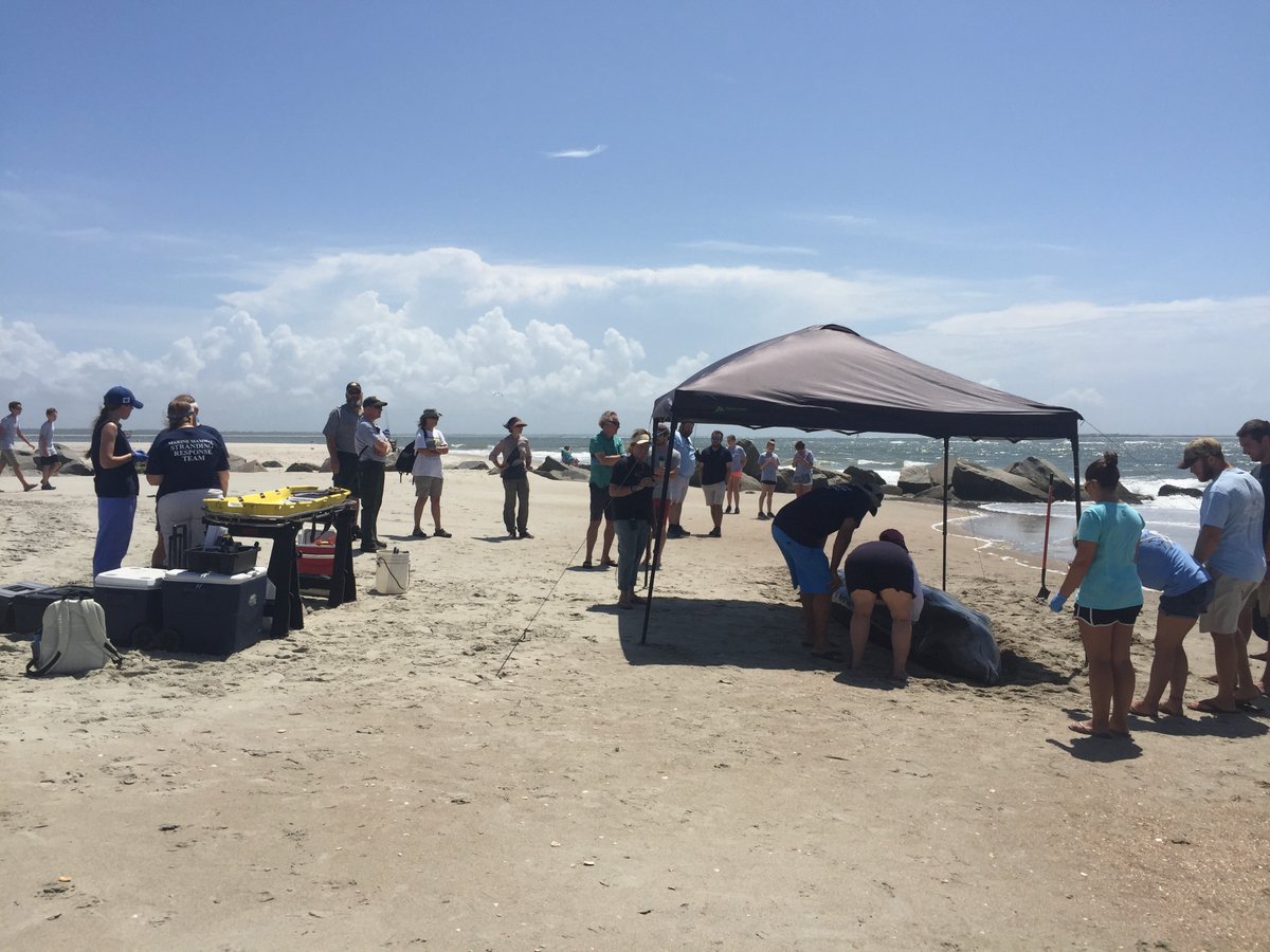 Anna Windle tweet media