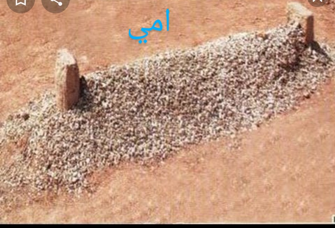 🤍🥀ولد شمر🥀🤍 tweet media