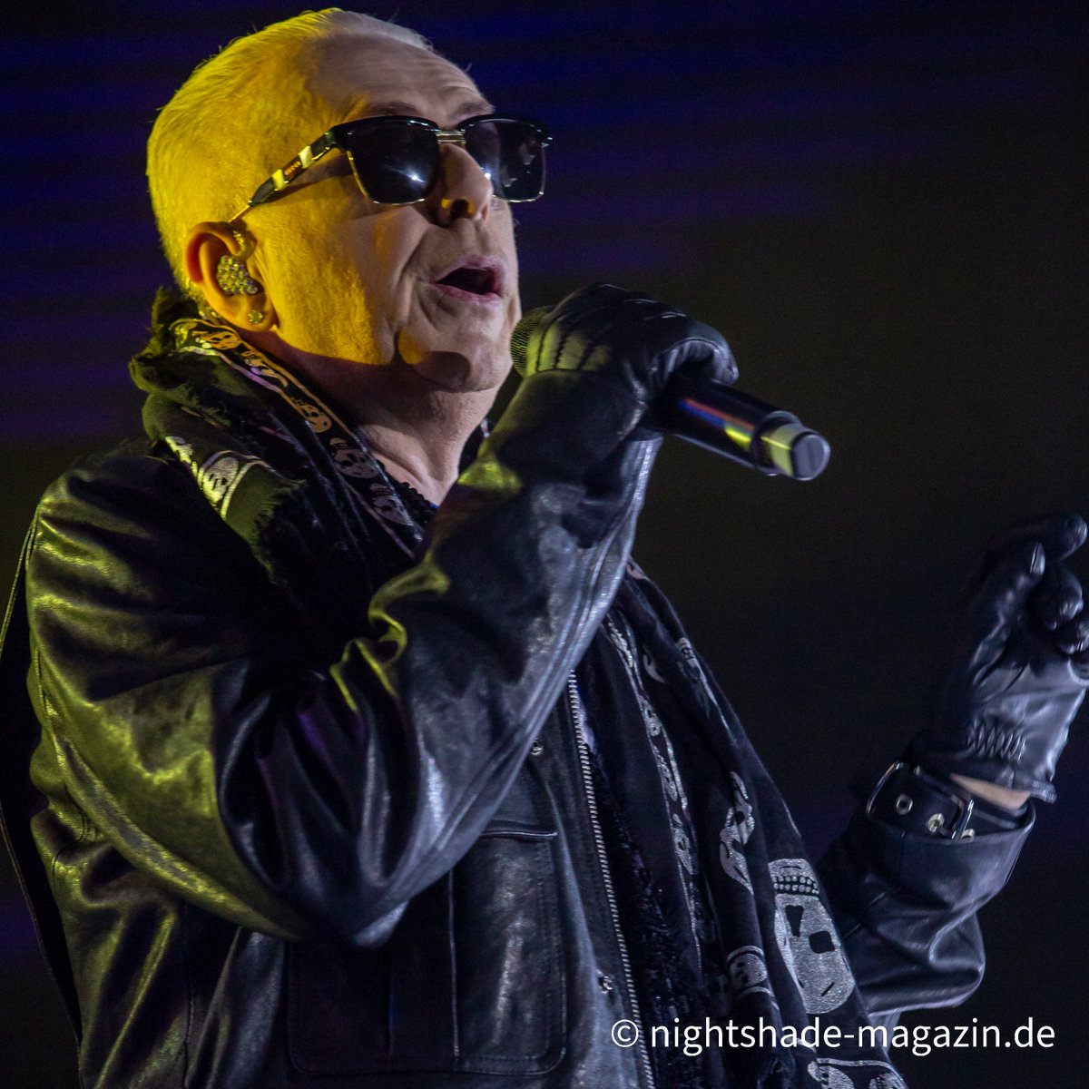 Nightshade Galerie - Die 80er live 2023 - Holly Johnson nightshade-magazin.de/galerie_detail… #hollyjohnson #frankiegoestohollywood #pop #wave #80s #die80erlive #konzertfotografie @TheHollyJohnson