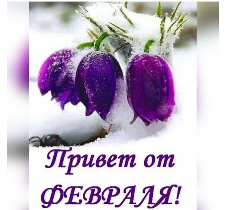 Весна не за горами