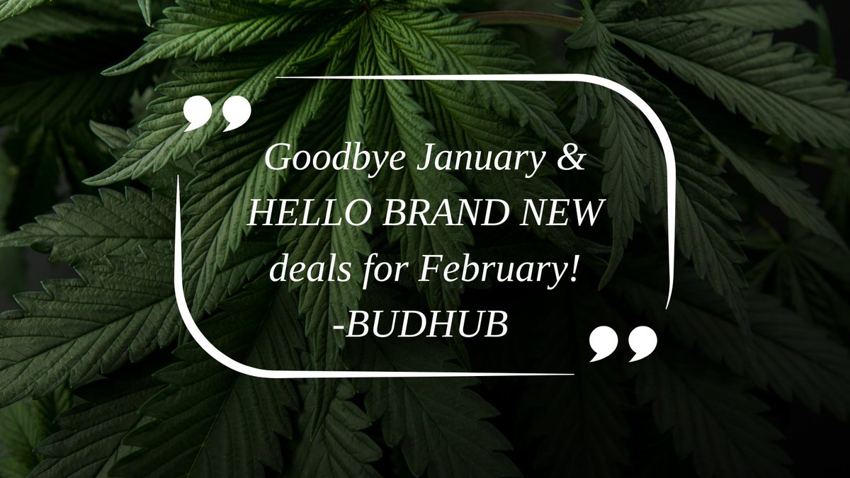 BudHubBC's tweet photo. Saying goodbye to January &amp; welcoming February’s member perks. Have you signed up for a #FREE account with us yet? ➡️ https://t.co/0T4n2MVIY2 #membersperks #420community #420Goddess #Mmemberville #420girls #420life #Weedmob #CannabisCommunity #bcbud #cannabisculture https://t.co/liMIvMaH7z