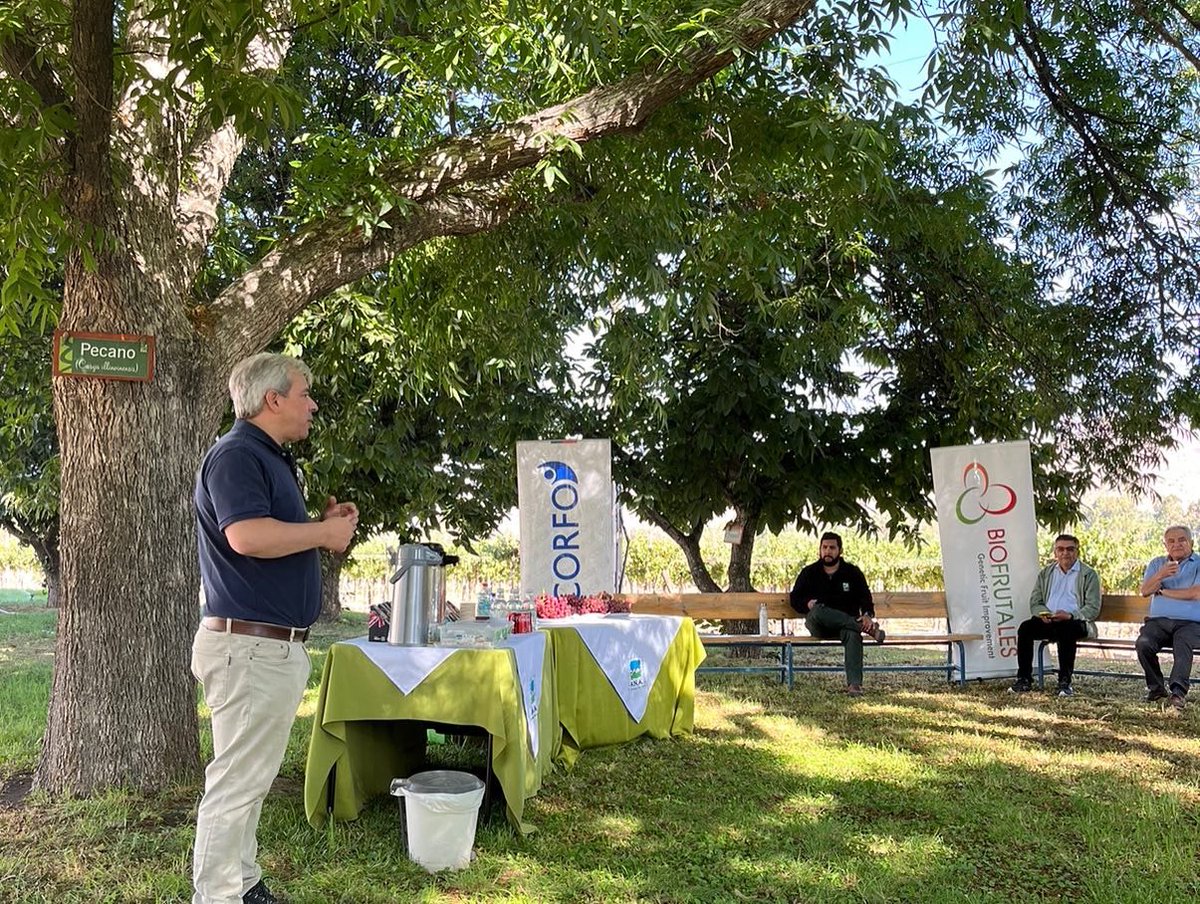 📣Full temporada de uva

Equipo del Programa de Mejoramiento Genético <a href="/iniachile/">INIA Chile</a> y Biofrutales se trasladó a #Vicuña para ver avances de INIA-G3, nueva uva de sabor moscatel

✅Atractivo color rojo claro, alta fertilidad, firme y buena capacidad de viaje son algunos atributos 🍇
