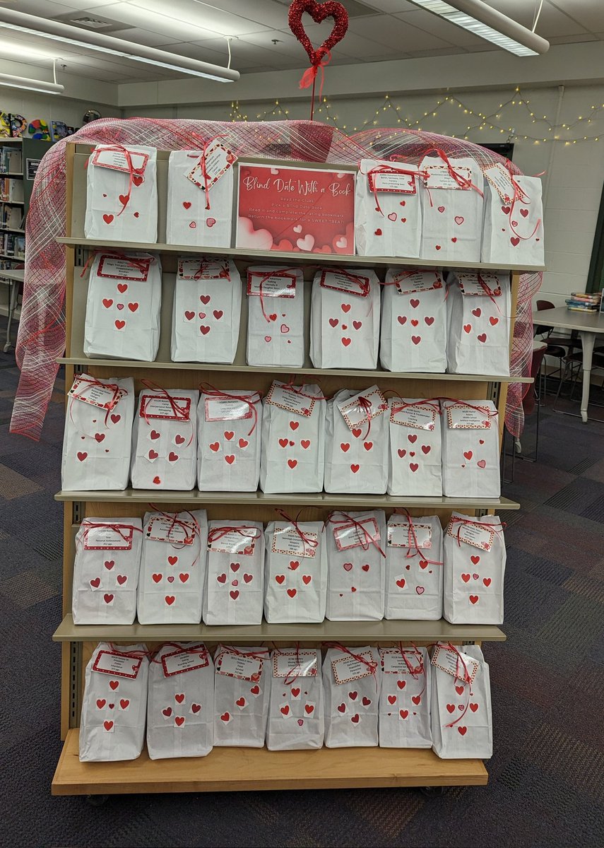 Blind Date with a Book begins tomorrow and runs through the month of February! @WMSMrsBarrett @SuggsWms <a href="/WMSTimberwolves/">Wildwood Timberwolves</a>
