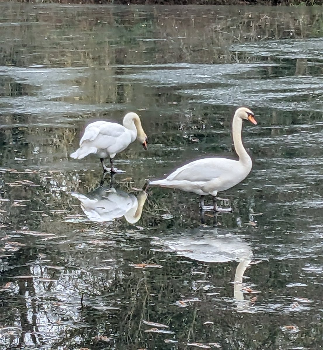 Andy Doyle tweet media