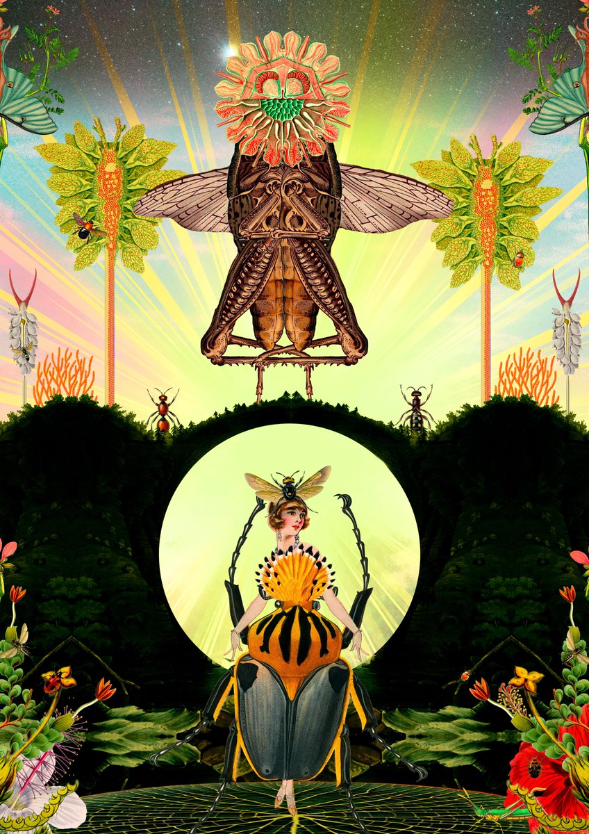 fed_hq's tweet photo. "Across Mexico City, you can now find upper-class Mexicans and foreigners eating the chicatana ants, maguey worms, and roasted grasshoppers."

Don’t worry about eating insects: ‘We should think about cultivating ourselves’ | By @MexCityStreets 

https://t.co/Q0RC11u9ps https://t.co/KB8cz7DKQi