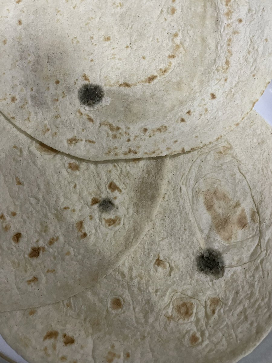 elaa2383's tweet photo. @oldelpasouk very surprised to find mould on our fajita wraps last night. 🤢 https://t.co/3wW6eNxDsQ