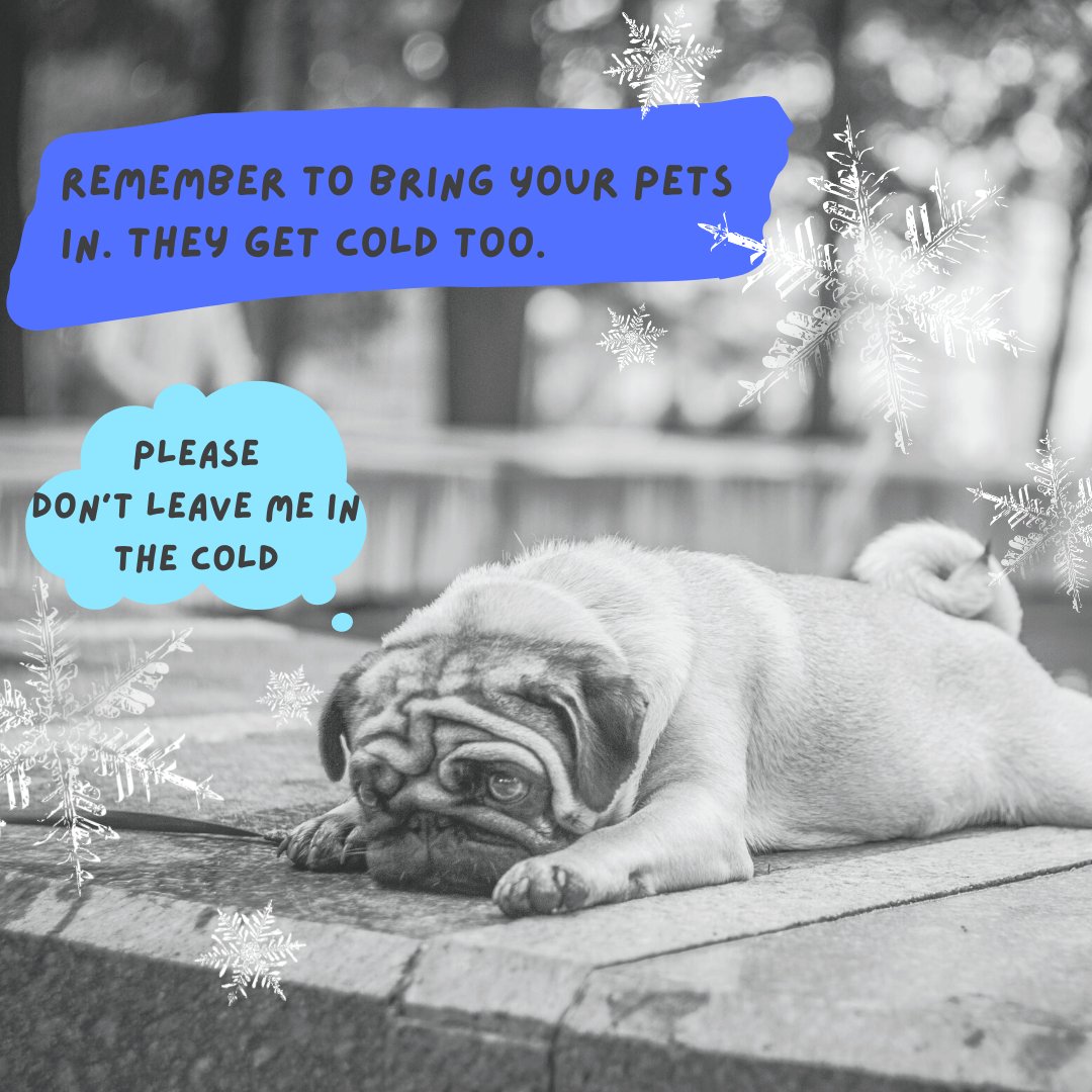 DaisyCares tweet media