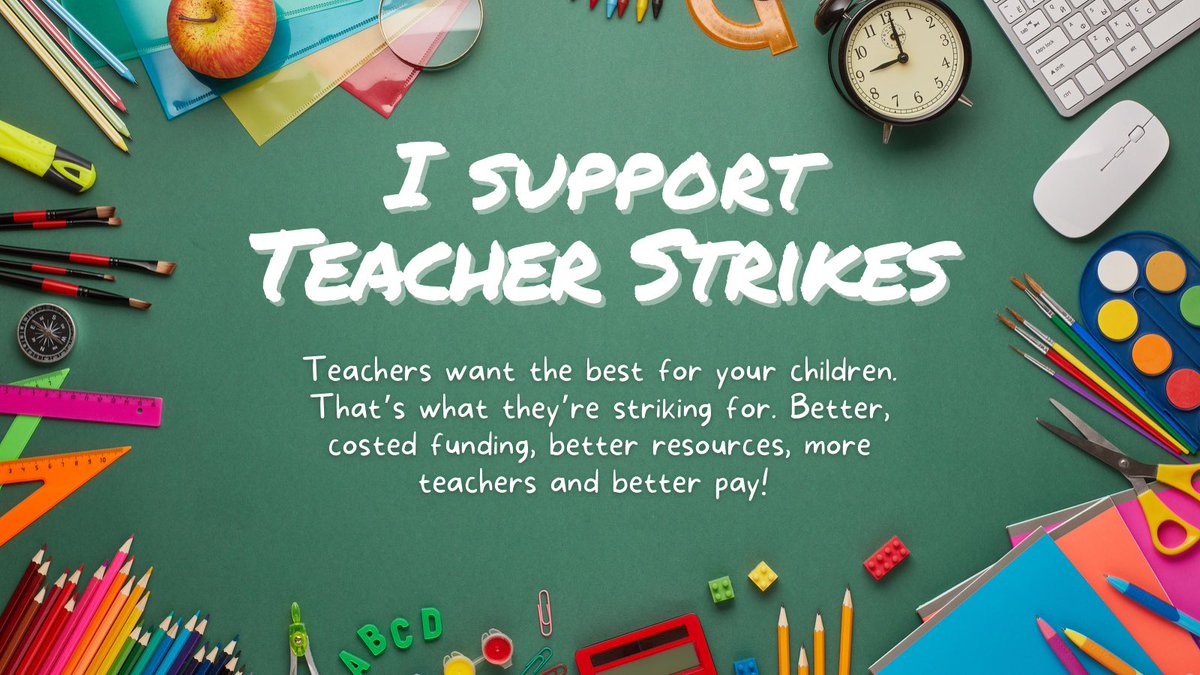 Lady Bear 🐻 🇪🇺 tweet media