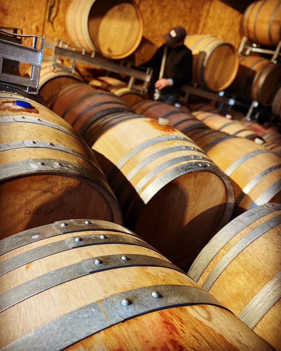 FlintVineyard's tweet photo. Blending trials for the Bacchus 2022. It’s an involved task and will require many iterations to select the optimum ratio in which to blend 10 individual fermentations together. That’s what makes the Flint Bacchus our most precisely made wine of the range.
#wineblending https://t.co/O96lbzziVw