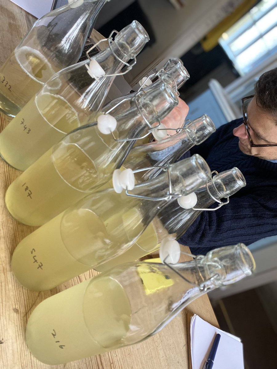 FlintVineyard's tweet photo. Blending trials for the Bacchus 2022. It’s an involved task and will require many iterations to select the optimum ratio in which to blend 10 individual fermentations together. That’s what makes the Flint Bacchus our most precisely made wine of the range.
#wineblending https://t.co/O96lbzziVw