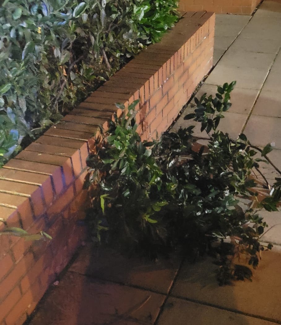 DubFireBrigade's tweet photo. It's not unknown for firefighters to have to unearth a hydrant in order to secure a water supply

🏢 If you manage a residential complex or premises check your hydrants

🚒 Are they marked? 

🧑🏽‍🚒 Are they unobstructed?

Checking now saves time in an emergency #FireSafety https://t.co/uRmLYtUR8e