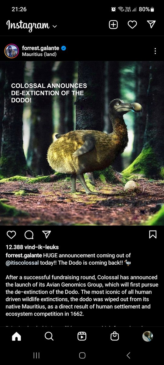 stevenheylen's tweet image. @De_Laatste_Dodo ik vrees da ge uwen #twitterhandle gaat moeten veranderen! #dodo 😄