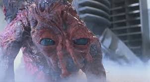 kennedy 🐉 tweet media