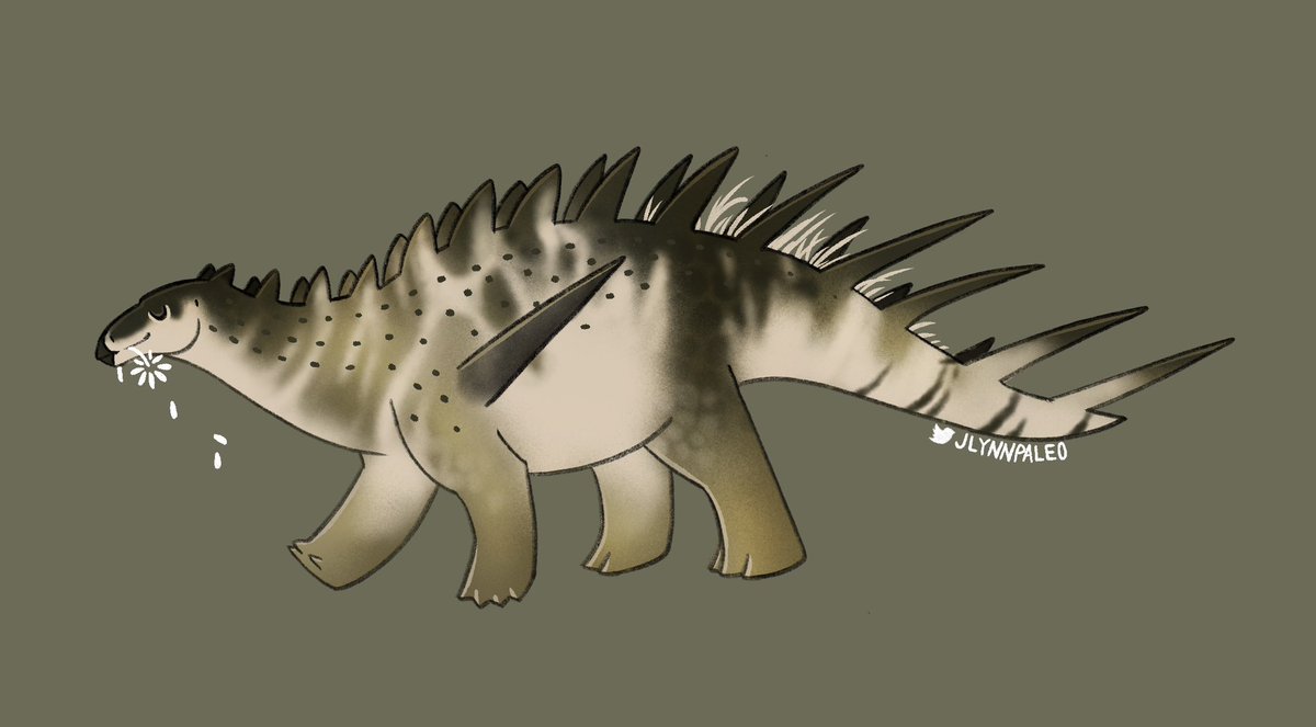 jlynnpaleo's tweet photo. Some chunky Kentrosaurus from @pathoftitans! 🌻🌻 https://t.co/gSud60m18a