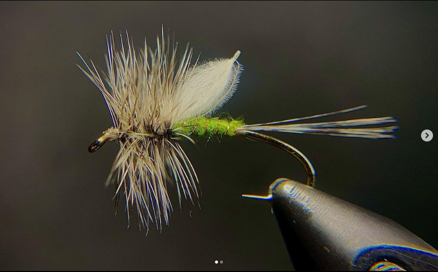SnowbeeUSA's tweet photo. Great looking pattern and tie
@brycemillerflies
Caught an awesome hatch of BWO Saturday that got me dreaming of big hatches like the green drakes pictured here! 
.
#virginiatech #renzettiinc #water #trout #troutfishing #troutflies #getoutside #getout #getoutdoors #getoutthere https://t.co/IYbempPvpf