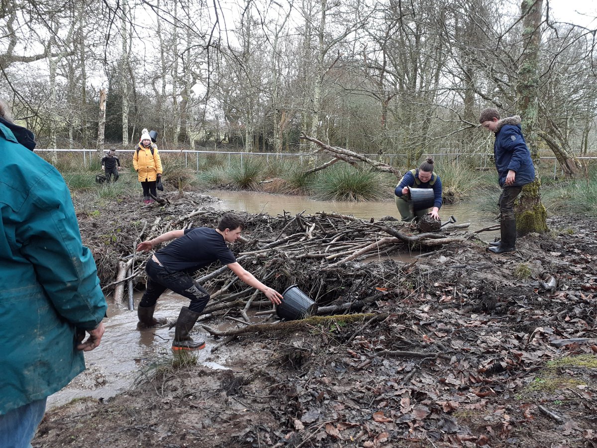 CaradonAPA's tweet photo. Today our secondary nurture group had our last visit to @woodlandvalley & @CornwallBeaver where we helped out the beavers by building a dam. what a great day ! #JustinBeaver #ThisIsAP #WaveMAT https://t.co/RmnToBMZ2M