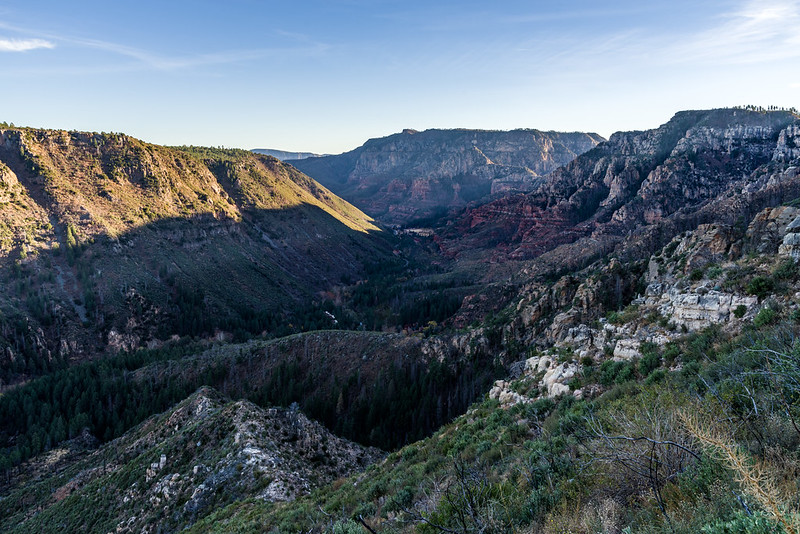 Coconino NF tweet media