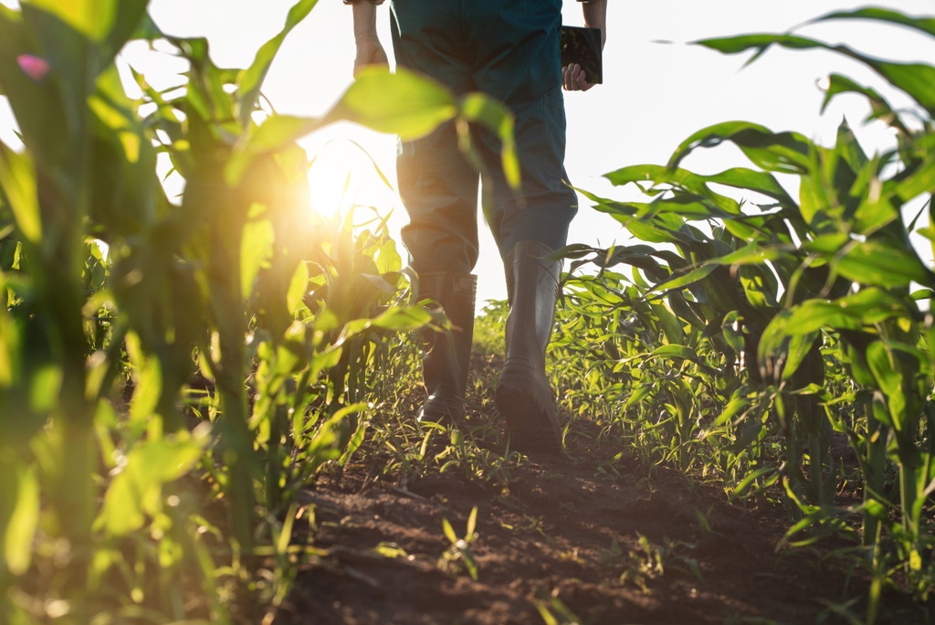 LeBulletin_com's tweet photo. Planifier pour mieux désherber - Une conférence du CRAAQ par Patricia Leduc, agronome et conseillère en agroenvironnement, au Club Agri Conseils Maska. À lire ici: https://t.co/yARvUYjIul
#mauvainesherbes #adventices #desherbage #phytoprotection #clubsconseil #agroenvironnement https://t.co/PxP2griQLd