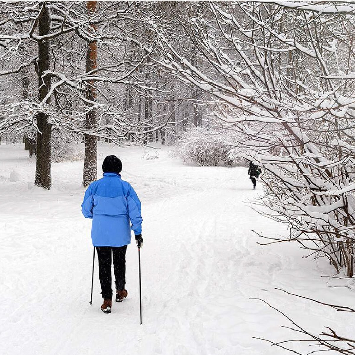 A walk outdoors through one of the many beautiful trails in the Kawartha’s is the perfect way to get those steps in!

#seniors #seniorliving #abbeyfieldlakefield #ontario #skiing #health #winteractivities #seniorfitness #senioractivities #whyliveinlakefield #affordableliving