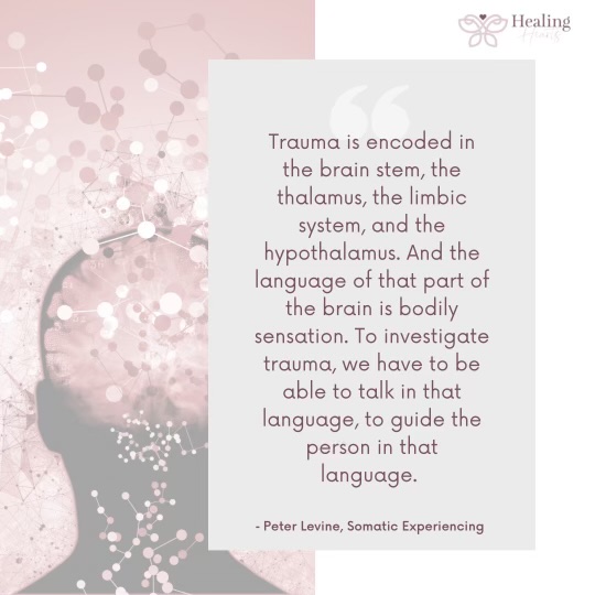 To heal, we have to listen to the body and speak in the language of the body.

#languageoftrauma #sensation #emotion #heal #traumasurvivor #traumahealing #sensorimotorpsychotherapy #somaticexperiencing #EMDR #polyvagaltheory