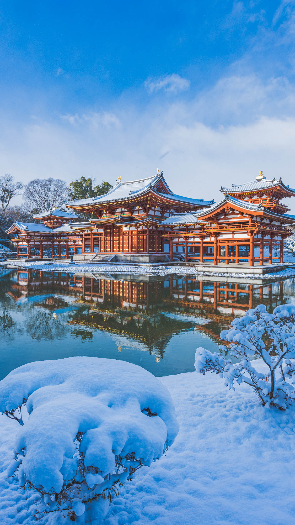 こま Kotorogi Kyoto Twitter