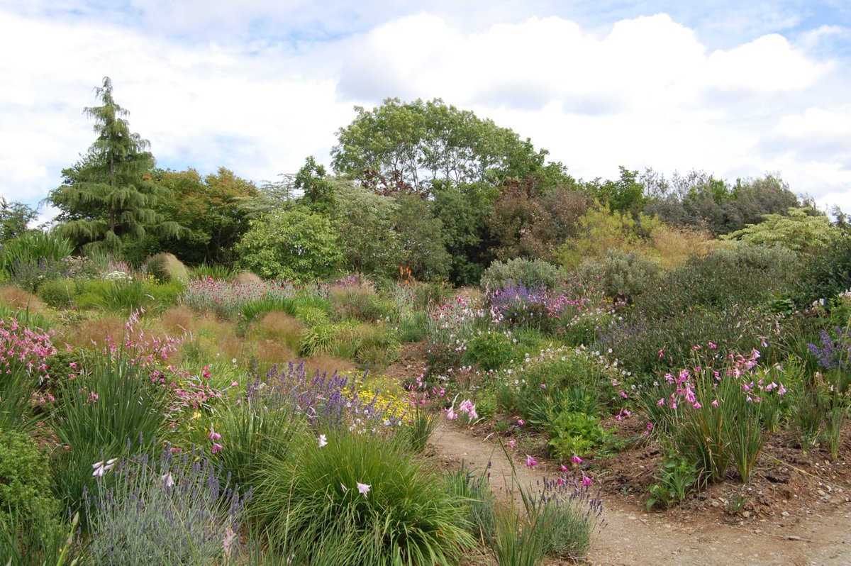 Gardening in a Changing Climate – online talk by Sue Fisher dlvr.it/ShkPM2