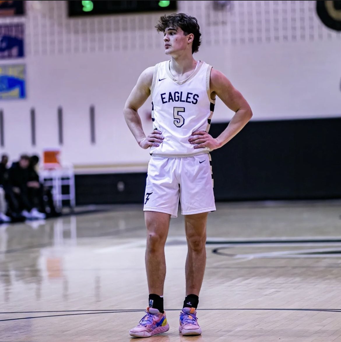 THE FREEDOM FRENZY tweet media