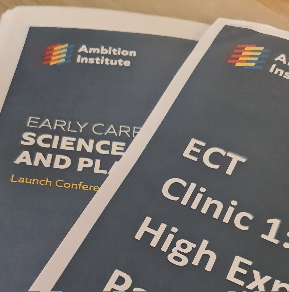 MrWarnesCS's tweet photo. Enjoyed a return to the theory and science of teaching at ECT Conference 1 today @Trinityteach.

We learned so much throughout our ITE year, and today really helped reactivate some of that knowledge.

Lots to reflect on 🙏 https://t.co/qFhl0bcg7S