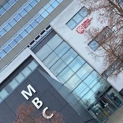 Amy Wong tweet media