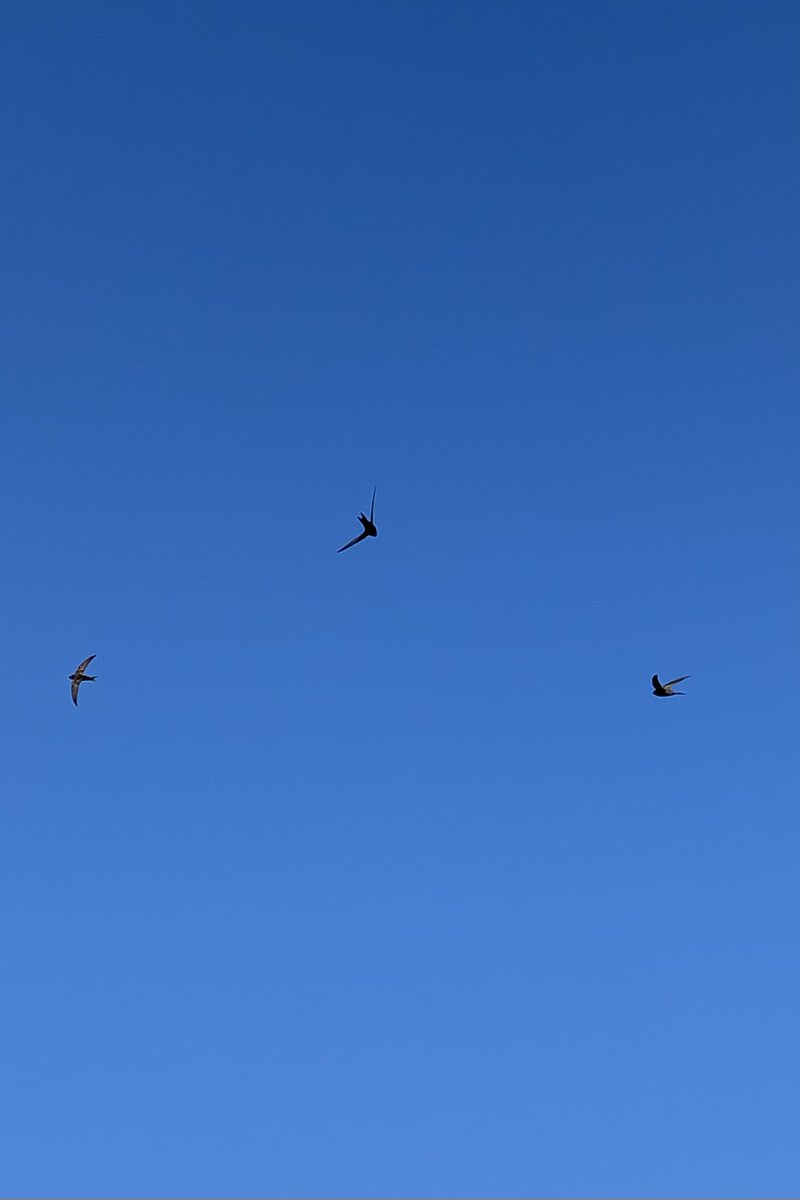 James Gilbert (now on Bluesky) tweet media